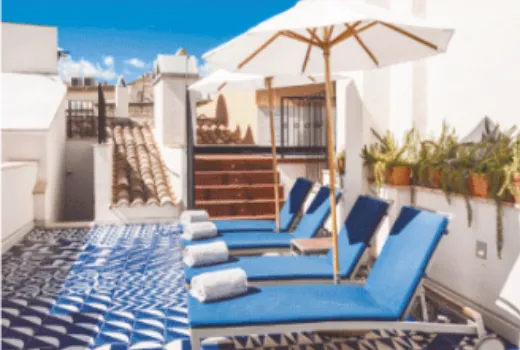 Descripción de la imagen